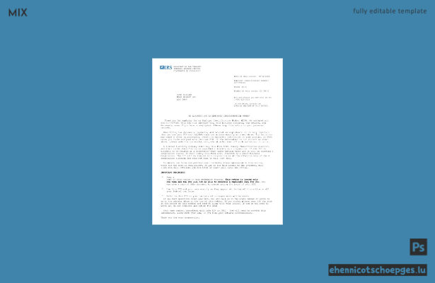 Beispielvorschau für die Mitarbeiterbescheinigung des US-amerikanischen Internal Revenue Service (Version 2)